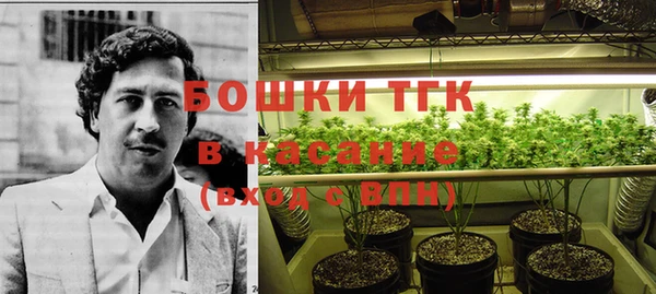 дмт Переславль-Залесский