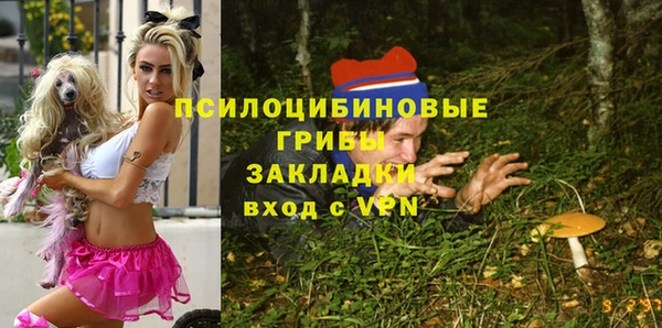 круглые Осинники
