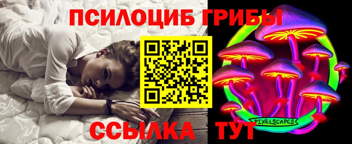 Лабытнанги  Галлюциногенные грибы Psilocybine cubensis  Вход с VPN 