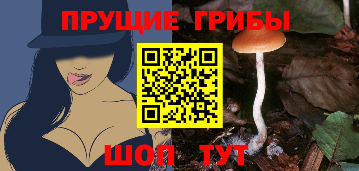 Галлюциногенные грибы Psilocybine cubensis Лабытнанги
